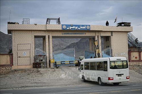 Nhiều trường đại học ở Afghanistan mở cửa trở lại